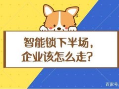 冷思考｜智能鎖行業(yè)的下半場該怎么走？